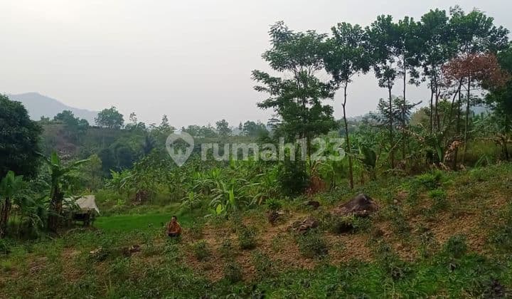 D jual tanah sawah dan darat desa pabuaran