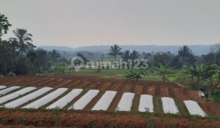 Di Jual Tanah Desa Cileungsi Ciawi Bogor
