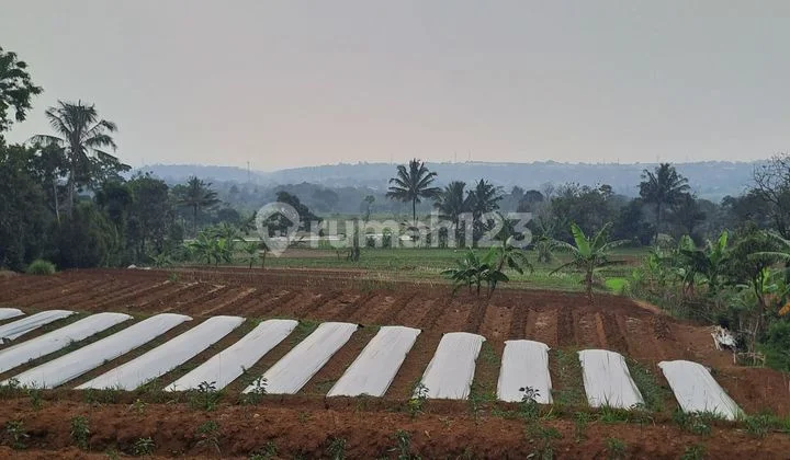 Di Jual Tanah Desa Cileungsi Ciawi Bogor