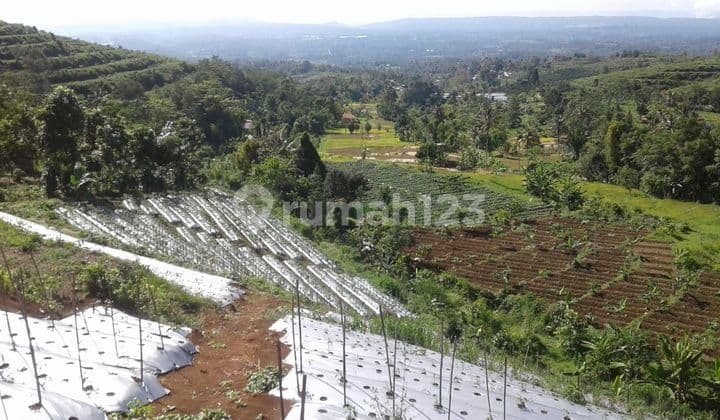 Di jual tanah parakan salak