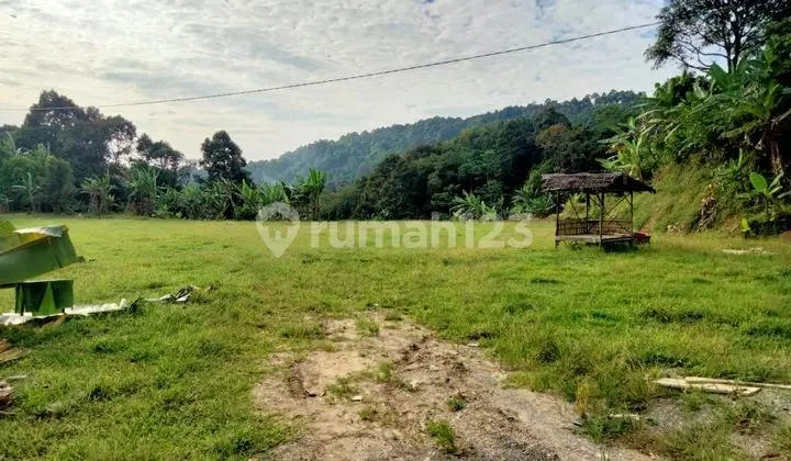 Land for sale in Cibeber Village, Leuwiliang.