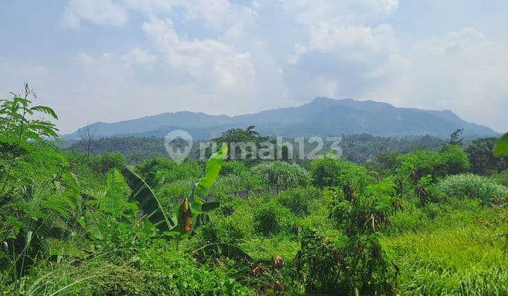 Di jual tanah desa batu tulis nanggung