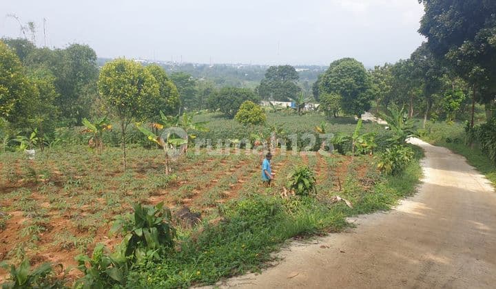 Di jual tanah jalan pasir angin sumarecon sukarja bogor