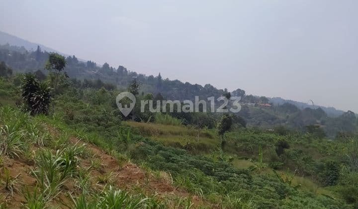 Di jual tanah tugu jaya cigombong