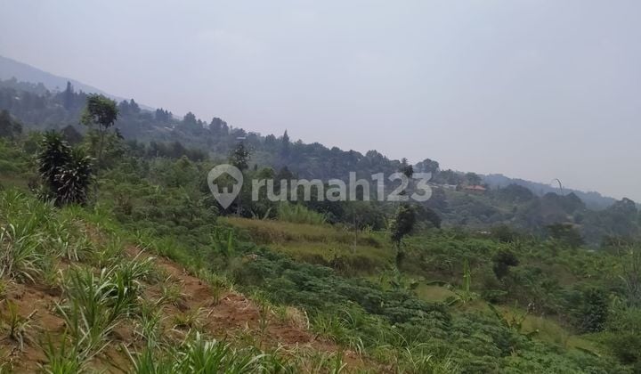 For sale land in Tugu Jaya, Cigombong.