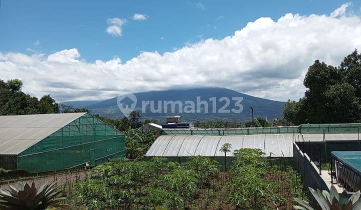 Di Jual Tanah Plus Vila dan 7 Grenhouse