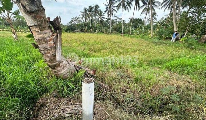 Di jual tanah d pantai carita pandeglang banten
