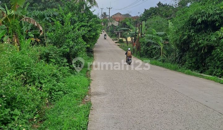 Di jual tanah jalan raya desa rabak rumpin