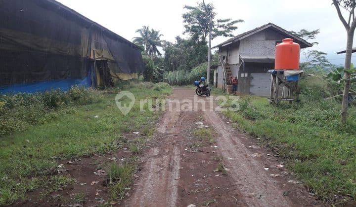 Di jual tanah darmareja nagrak sukabumi