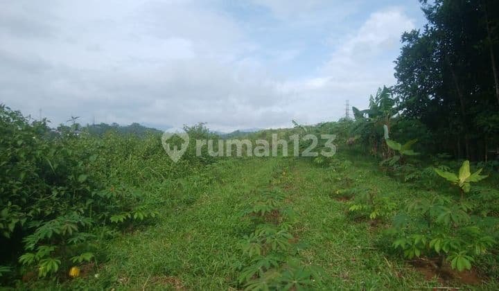 Land for sale in Cibadak, Sukabumi.