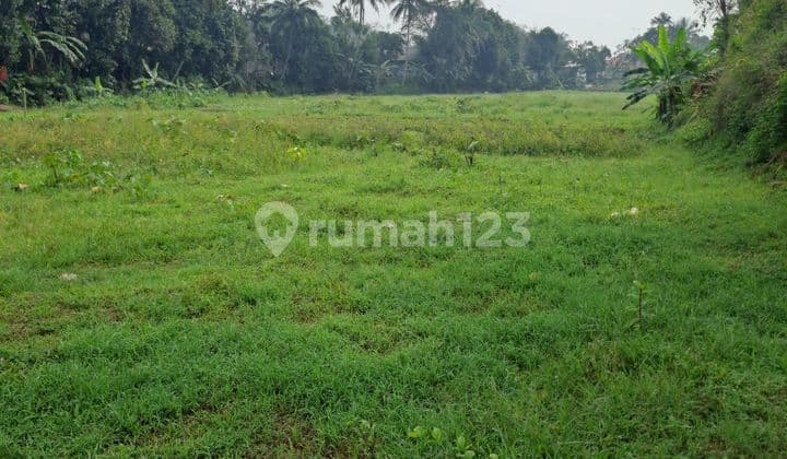 Di jual tanah ciseeng bogor