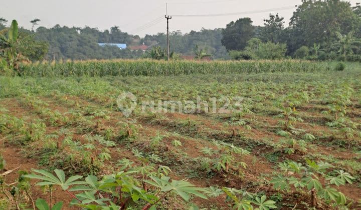 Di jual tanah rancabungur bogor jawa barat