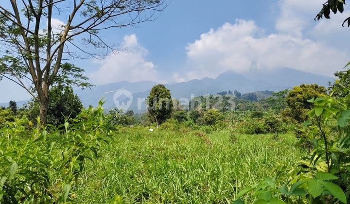 Di jual tanah di ciapus taman sari