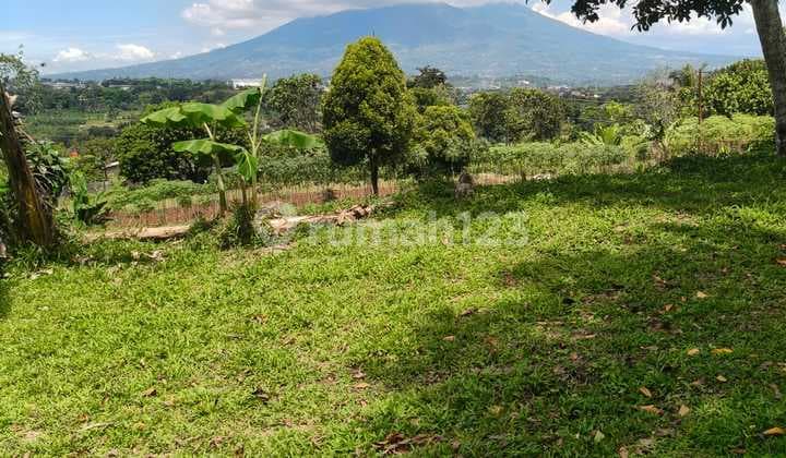 Land for Sale in Pasir Angin Near Sumarecon Bogor