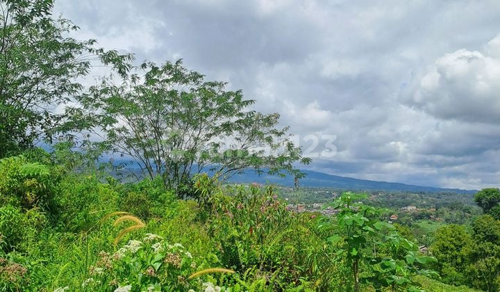 Di Jual Tanah Jalan Terobosan Cipayung