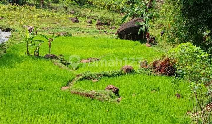 Di Jual Tanah Sawah Dan Darat Parakan Salak Sukabumi