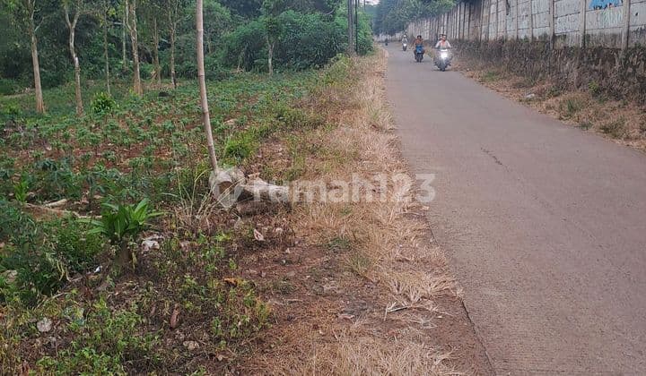 Di Jual Tanah Mekarsari Rumpin Bogot