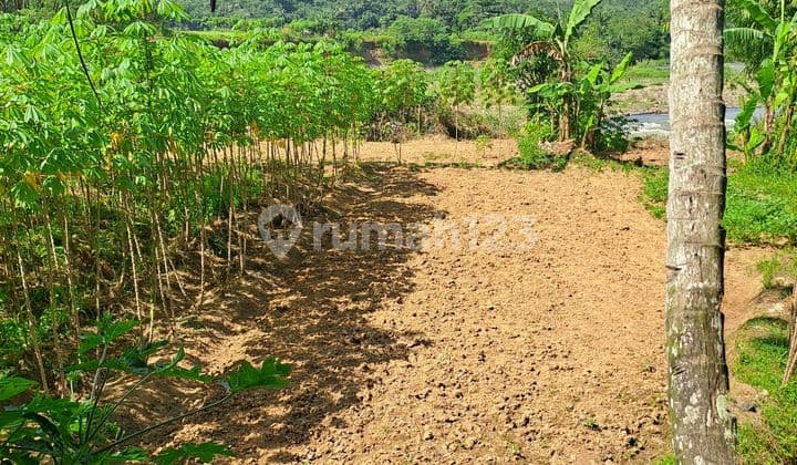 Di Jual Tanah Di Rumpin Bogor