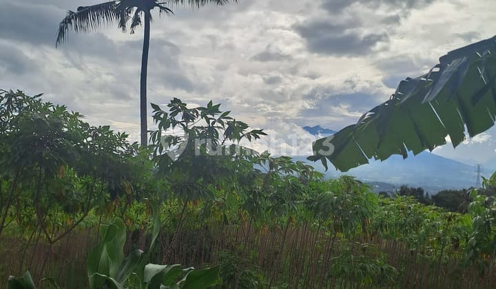 Di Jual Tanah di Pasir Angin Megamendung Bogor