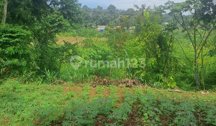 Di Jual Tanah Jalan Raya Pasir Angin Bogor