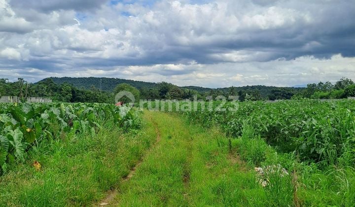 Di Jual Tanah Rancabungur ******** Barat