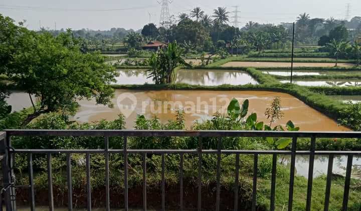 Di Jual Tanah Kolam Ikan Di Ci Seeng Bogor