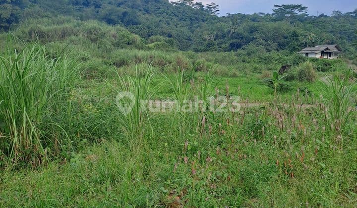 Di Jual Tanah Di Rumpin Bogor