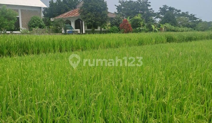 Di Jual Tanah Di Ciampea Udik Bogor