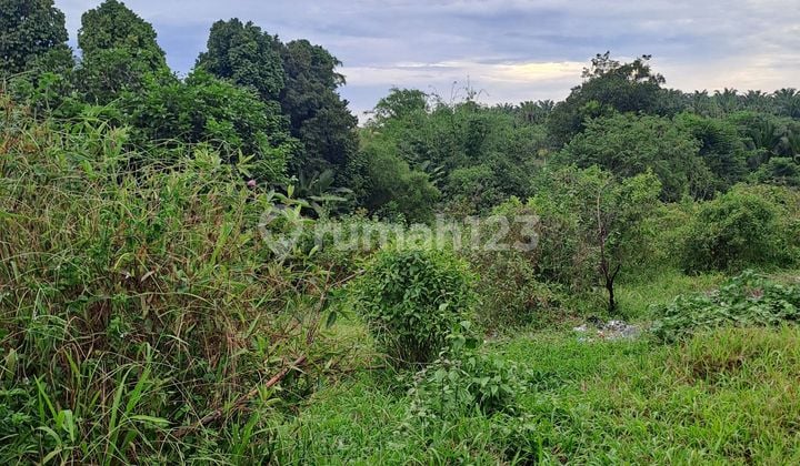 Di Jual Tanah Di Kemang Bogor Candali