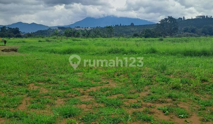 Di Jual Tanah Puncak Bogor Jawa ********