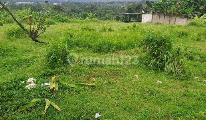 Di Jual Tanah Di Jeruk Bogor.jabar