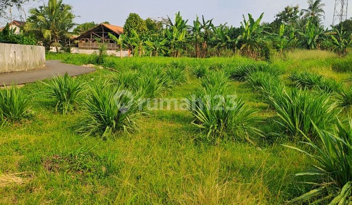 Di Jual Tanah Bojong Kopasus Kemang Bogor