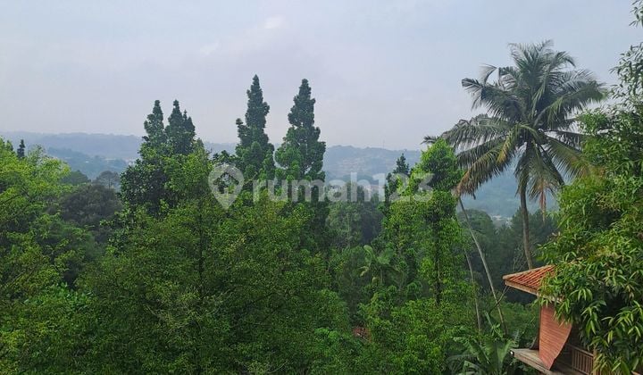 Di Jual Tanah Gadog Puncak Bogor