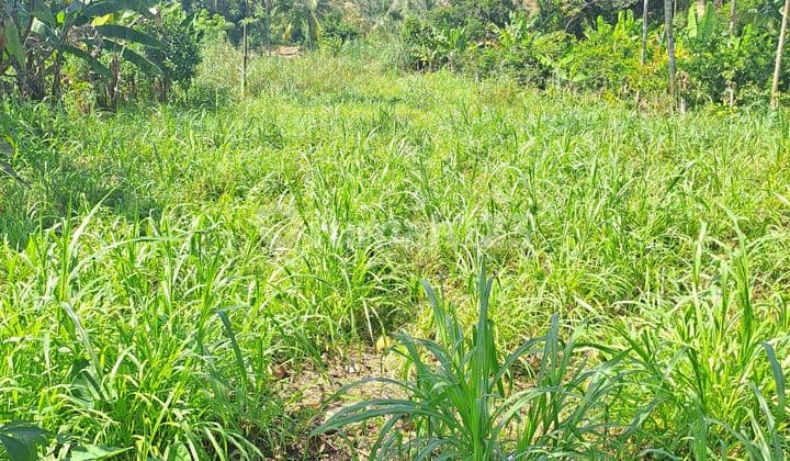 Di Jual Tanah Di Rumpin Bogor Jawa Barat