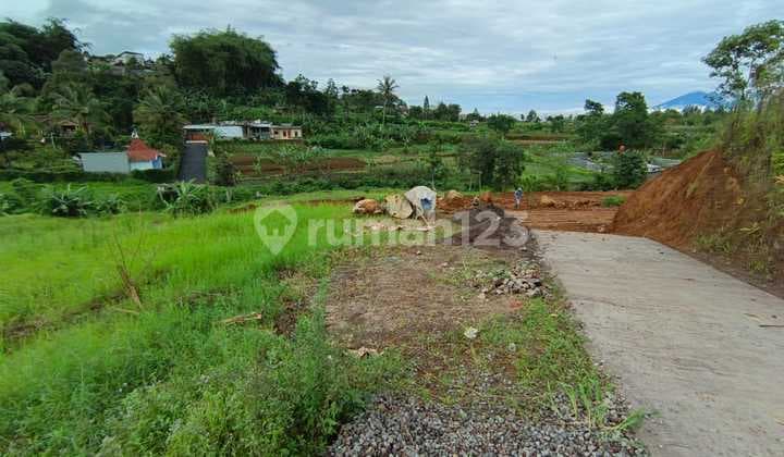 Di Jual Tanah Kapling Puncak Cisarua Bogor Jawa Barat