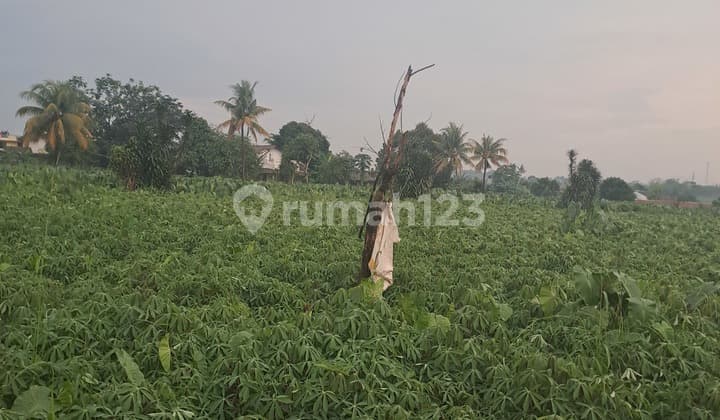 Di Jual Tanah Di Jalan Salabenda Raya Kemang Bogor