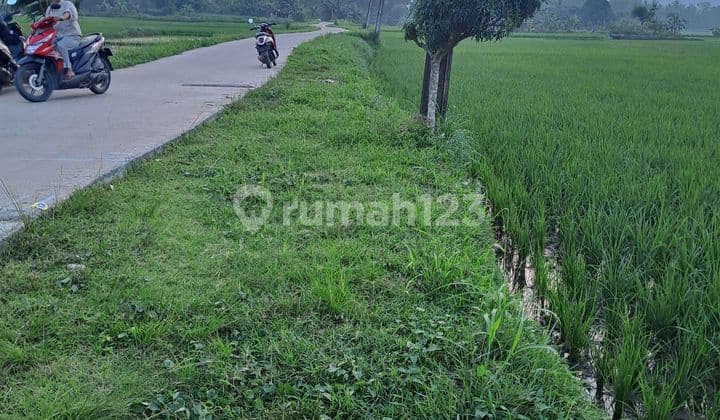 Di Jual Tanah D Rumpin Bogor