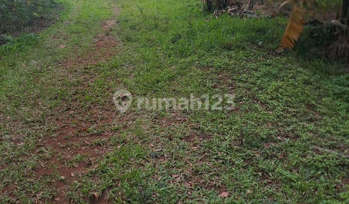 Di Jual Tanah Di Leuwiliang Bogor