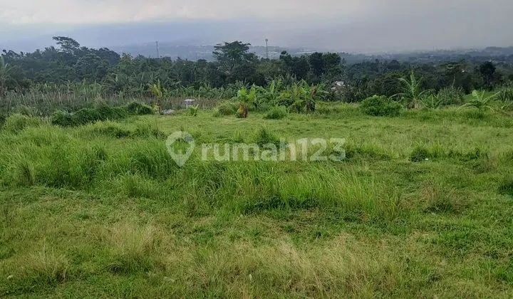 Di Jual Tanah Kebun Cengkeh Di Cijeruk Bogor.jawabarat