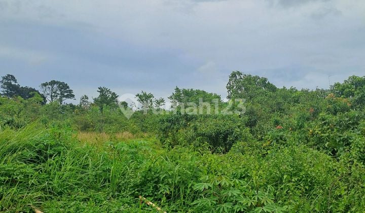 Di Jual Tanah Jasinga Bogor