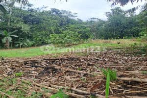 Di Jual Tanah Mekarsari Rumpin Bogor