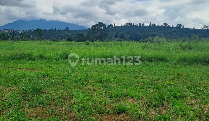 Di Jual Tanah Kapling Siap Bangun Puncak Bogor Jawa Barat
