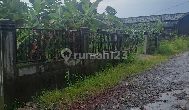 Di Jual Tanah Ciampea Udik Bogor