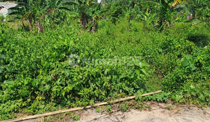 Di Tanah Rumpin Kab Bogor