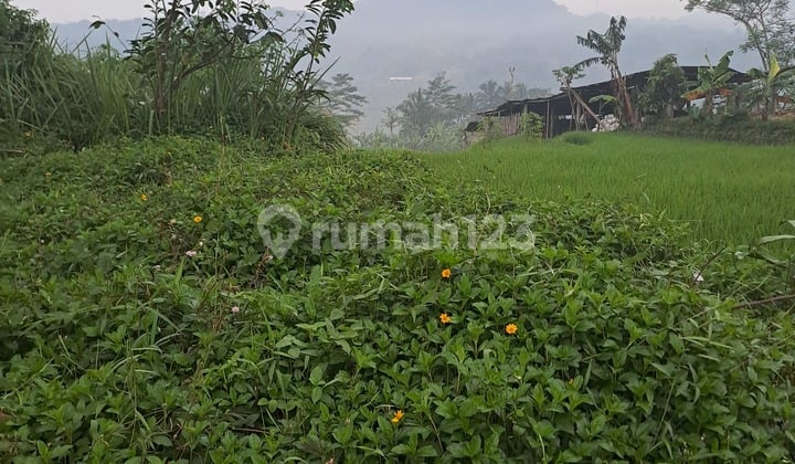 Di Jual Tanah Sukamakmur Nempel Jalan Provinsi