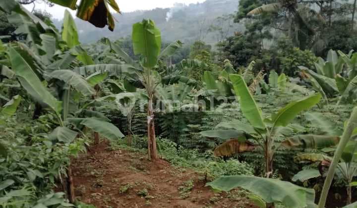 Di Jual Tanah Di Gunung Geulis Bogor