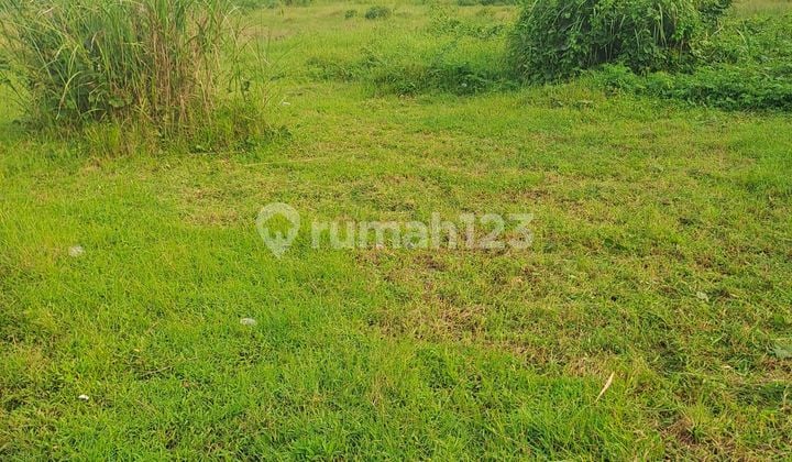 Di Jual Tanah Jalan Raya Rumpin Bogor