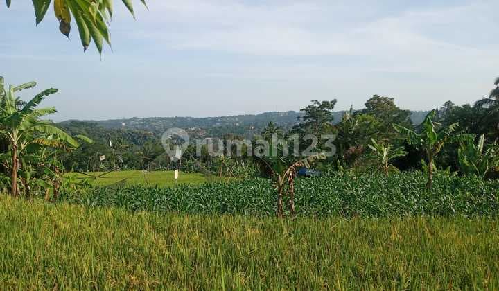 Di Jual Tanah Puncak Bogor Cisarua Jawa.barat