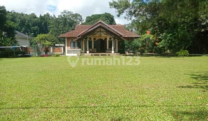 Villa With Extensive, Well-Maintained, and Productive Land in Megamendung, Bogor