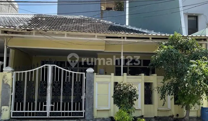 Rumah Murah Pluit Jakarta Utara